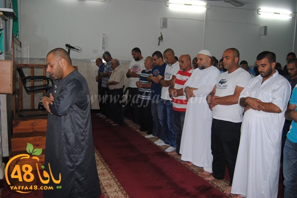 trawe7 zatona (1).JPG